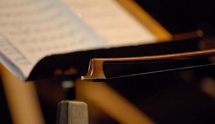 Geigenbogen (c) Werner Müller